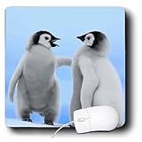 Dezine01 Graphics Animals - Penguins Tag Youre IT - Mouse Pads