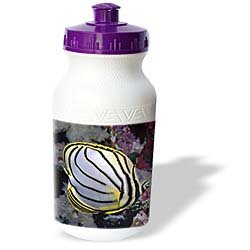 Tropical Fish - Butterfly Fish - Water Bottles