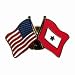 American Flag and Blue Service Star Flag Lapel Pin