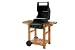 Garden Grill 2 Burner Hooded Gas BBQ with Trolley