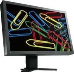 Eizo S2031WE-BK 20 Zoll wide screen TFT Monitor DVI schwarz mit Lautsprechern , USB-Hub und EasyUp-Standfuß (Kontrast 900:1, 8ms Reaktionszeit)