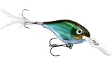 Fishing: Rapala XRap Shad Deep