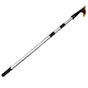 Wetline Telescopic Boat Hook