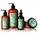 WEN Ultimate Hair Care - Set D