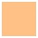 Rosco Roscolux Pale Amber Gold, 20x24