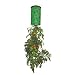 Allstar Marketing TT011112 Topsy Turvy Tomato Pla