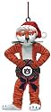 Auburn Tigers Memory Company Team Mascot & Wreath Christmas Tree Ornament NCAA College Athletics Fan Shop Sports Team Merchandise