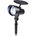 Tools & Hardware : Sunforce Solar 16-LED Ultra-Bright Floodlight, Model# 86313