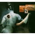 The Lotus Eaters : Tribute to Dead Can Dance