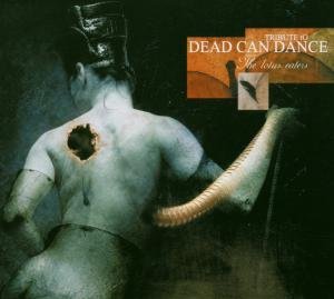 The Lotus Eaters : Tribute to Dead Can Dance
