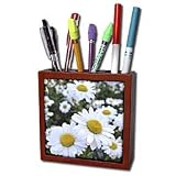 Patricia Sanders Flowers - daisies - Tile Pen Holders-5 inch tile pen holder