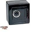 Metal Safe with Combination Lock by Toysmith (Colors May Vary)