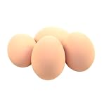 Brown Ceramic Chicken Egg
