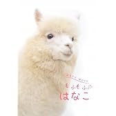 もふもふはなこ