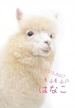 もふもふはなこ