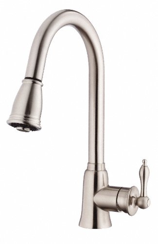 Danze D454510SS Prince Pull Stainless Steel