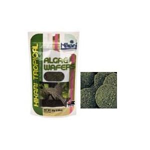 Tropical Algae Wafers Fish Food On Sale
