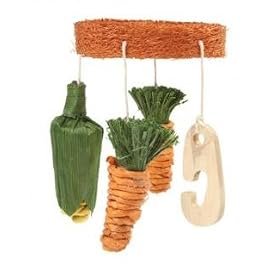Ancol Veg Mobile