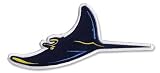 Tampa Bay Rays Sleeve Patch MLB Baseball Jersey Home Sleeve Patch