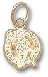 Boston Celtics Logo 3/8" Charm/Pendant -14K/10K, Stainless Steel or Gold Plated