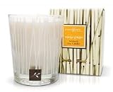 Aromafloria Soy Candle - Mango Ginger