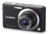 Panasonic - Lumix DMC-FX100 - black
