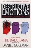 Destructive Emotions: How Can We Overcome Them?: A Scientific Dialogue with the Dalai Lama