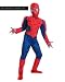 Search : Red and Blue Spiderman 3(TM) Muscle Chest Child, Medium (7-8) Costume