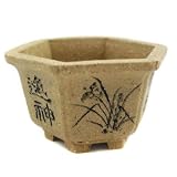 31r2ETypDYL. SL160  Happy Bonsai Handcrafted Miniature Hexagon Zisha Pot 1 Height