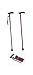 Designer Walking Canes