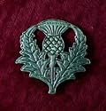 Scottish Thistle Pin - Pewter