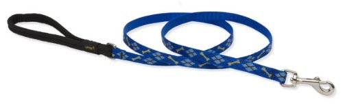 Lupine Nylon Pet Lead / Leash 1/2x6ft Dapper Dog