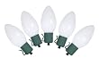 10 Battery Operated Ceramic White LED C9 Christmas Lights - Green Wire