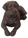 Labrador Retriever (Chocolate) Figurine, Apprx 7 Inches (K-9 Kreations Dog Sculpture) - Brown Lab