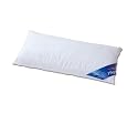 Schlafgut 03080-09009-10 Kissen glatt / Schlafgut Utah / 040x080