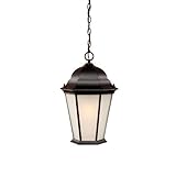Acclaim Lighting 5226BK/FR Richmond 1 Light Outdoor Hanging Lantern by Commercial Lighting [並行輸入品]