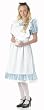 Adult Classic Alice in Wonderland Costume - Womens Large (10-12)
