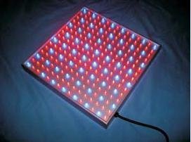 植物栽培水耕栽培用LED225球　野菜工場専用植物工場