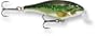 Rapala Shallow Shad Rap 05 Fishing Lures