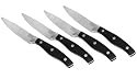 Chicago Cutlery Insignia 4-Piece Steak Knife Set