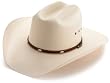 Stetson Men's Alamo Hat