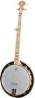 Deering Goodtime Special 5-String Banjo