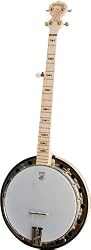 Deering Goodtime Special 5-String Banjo