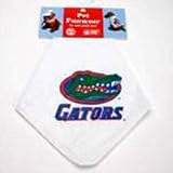 Florida Gators Dog Bandanas - Florida Gators Dog Bandana Pet Bandanas