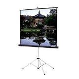 Da-Lite Picture King Portable and Tripod Projection Screen - 96