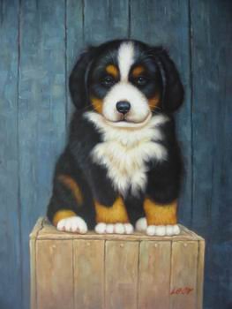 12X16 inch Animal Canvas Art Repro Bernese Mountain Dog/Puppy