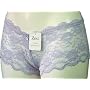 Zest Lingerie 5 Pack of Lace Hipster Shorts Pastal Colours