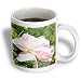 Garden Beauty A Pink Rose Flowers Photography - 15oz Mug