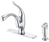 Danze #D403021 Chrome Single Kitchen Faucet