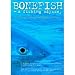 Bonefish, a fishing Odyssey DVD